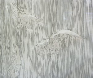 zur�ck zur Seite Aktuelles