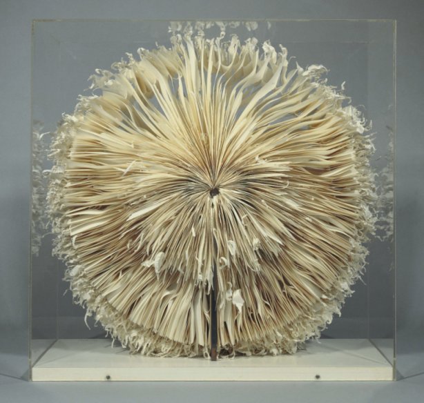 Vergr&ouml;&szlig;erung